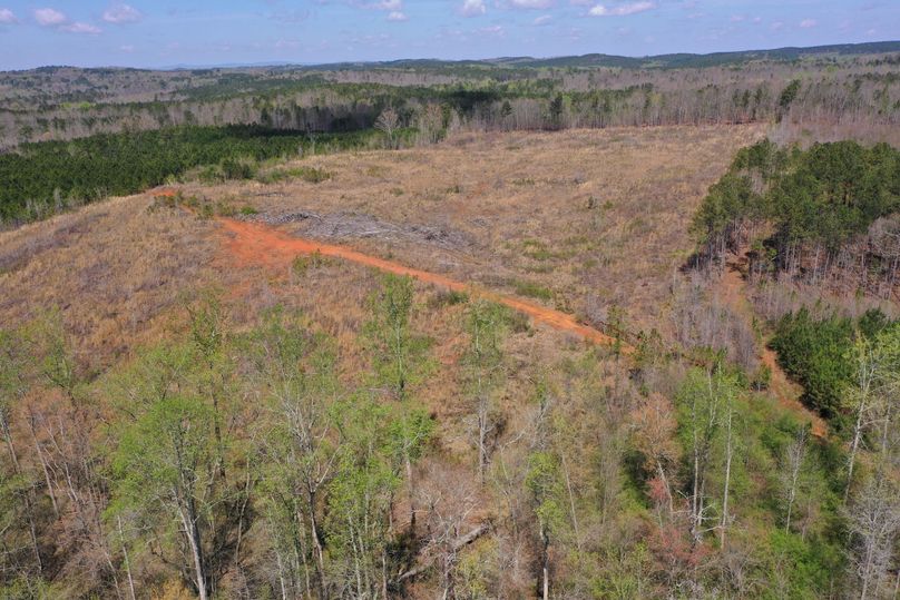 Copy of 200ftCardinal-2