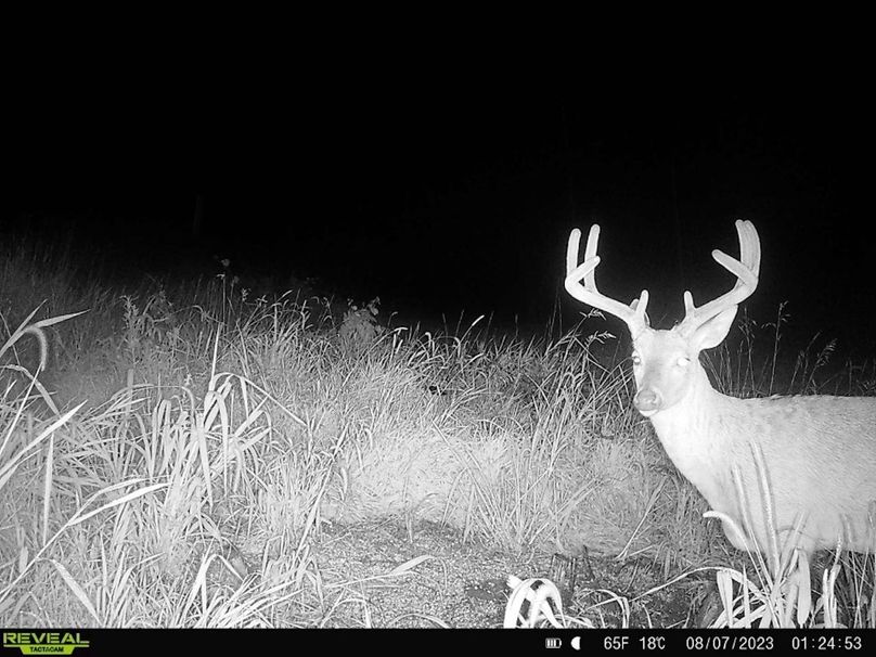 DFAA65CF-948A-48E0-A295-B764EEA47D4D