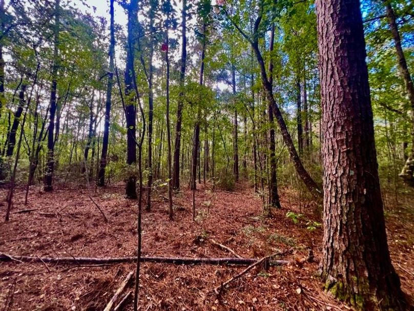 54F9FC29-5B2E-4155-9A8E-B8F0FC97A603_1_105_c