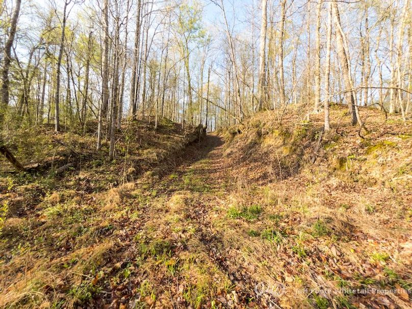 Warren Co - 45.5 - Bockman-72