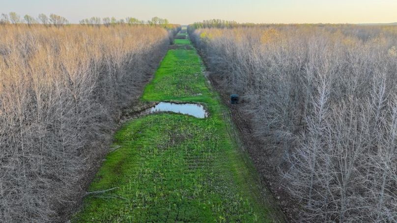 Panola 164.7 SPI Land Ventures-53