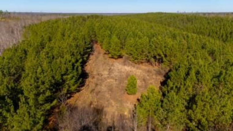 MCKINNON TRACT 29-26