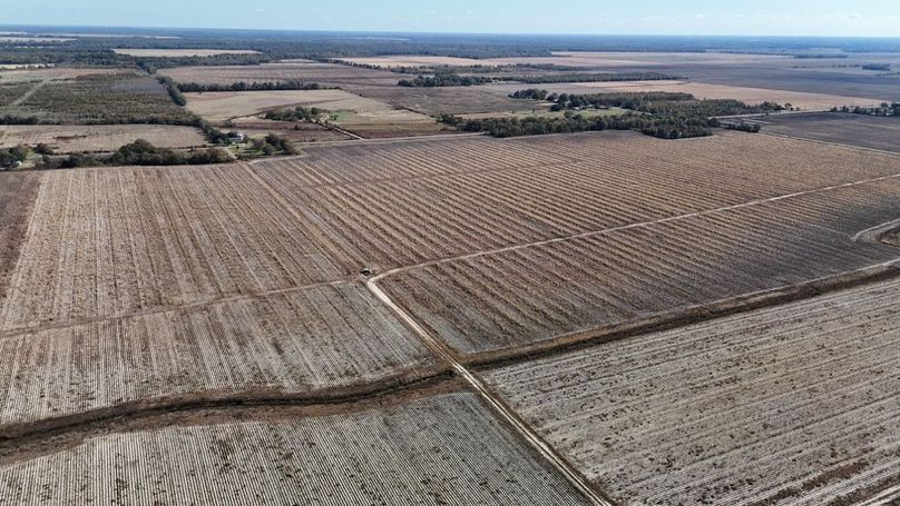 DJI_20251116020541_0898_D