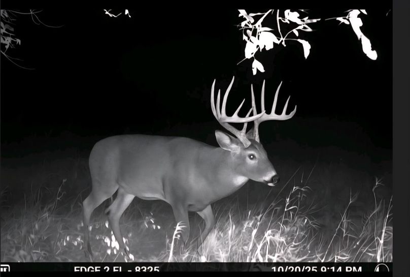 Trail Cam Pic