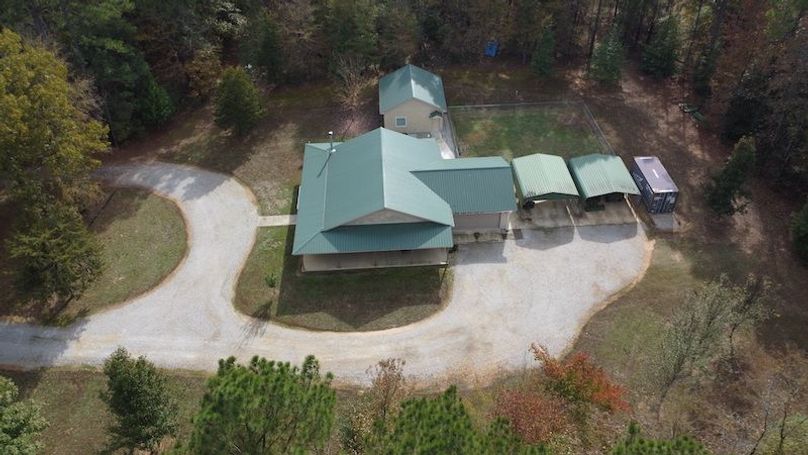 Dal_40_Denton20251113_0340