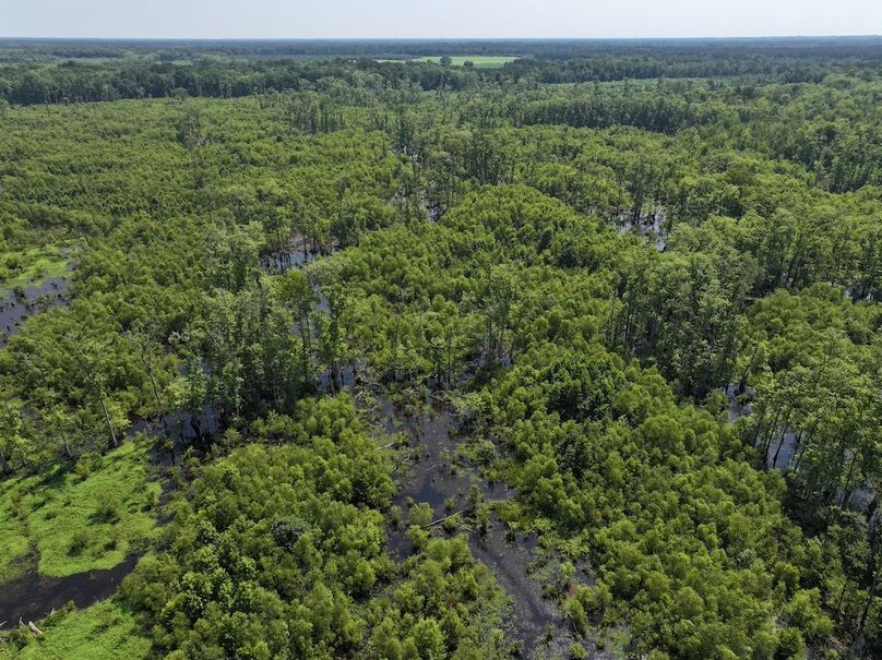 DJI_20250627103341_0123_D