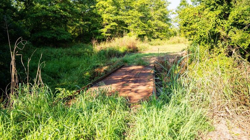 MadisonParLa1372-145