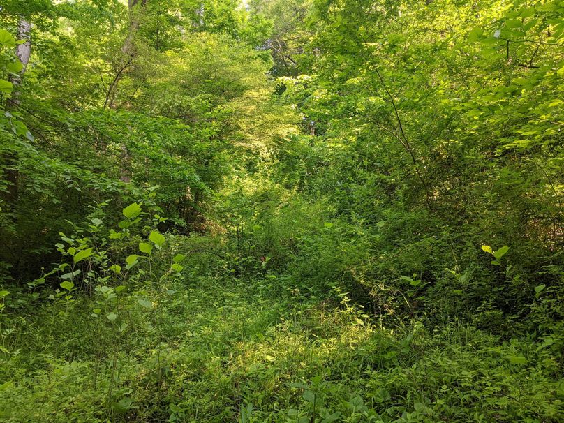 PXL_20230602_131507699