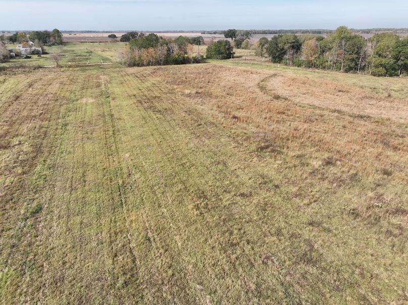 dji_fly_20231203_113552_533_1701631159354_photo