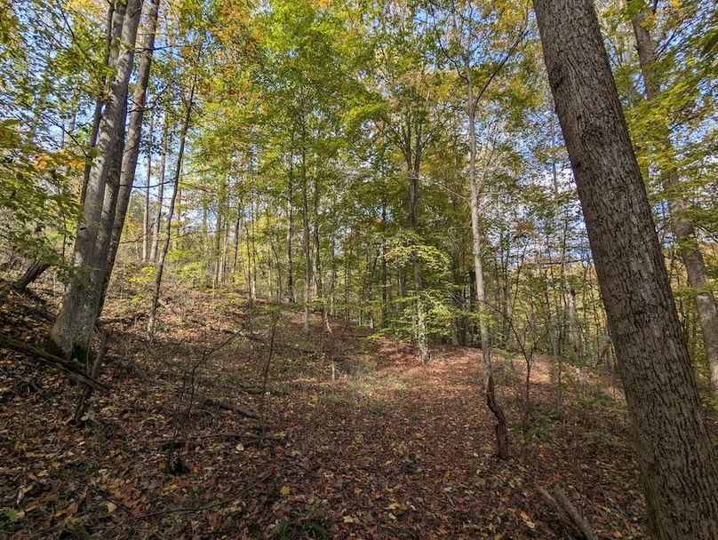 PXL_20251101_182834666