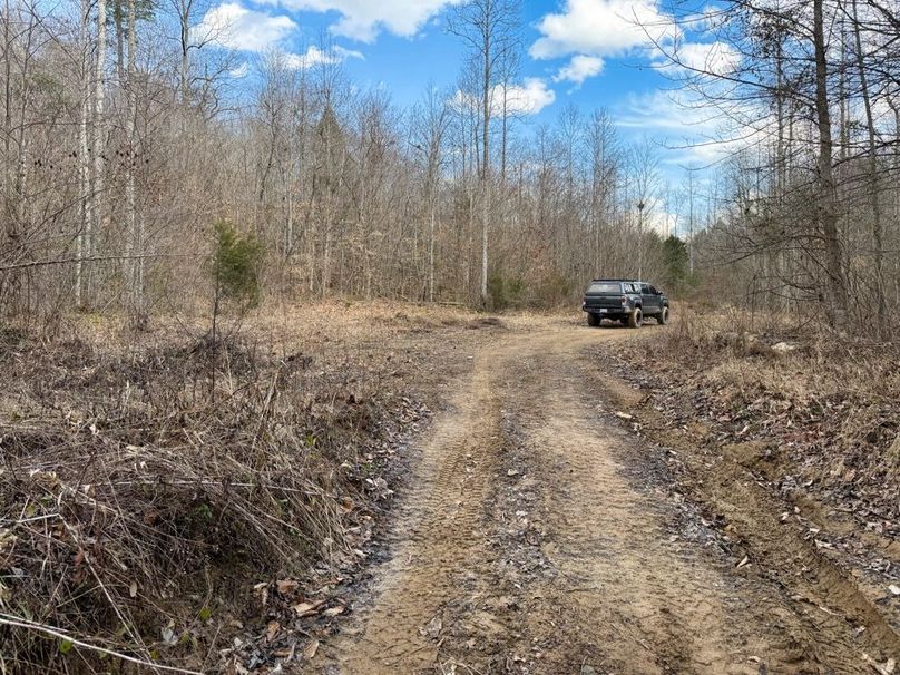 006 nice flat coming up out of the creek access-2