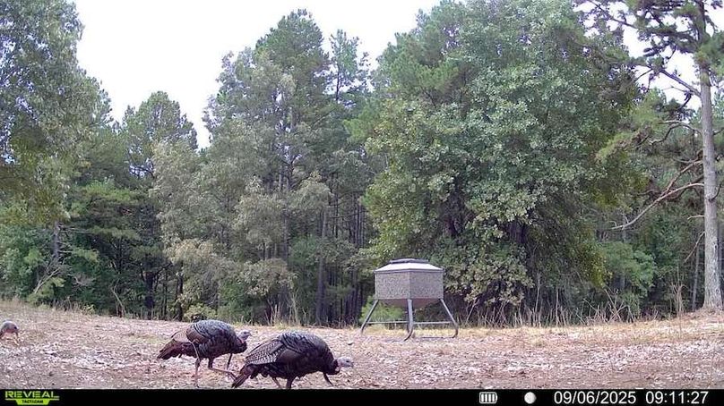 016578004181175-100-4-09062025091127-SYFW00043