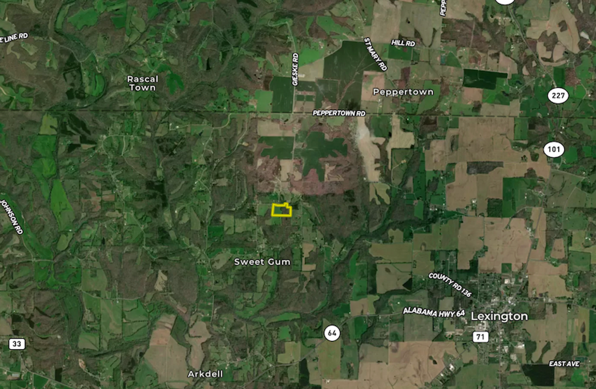 Screenshot 2025-06-17 at 12.59.06 PM