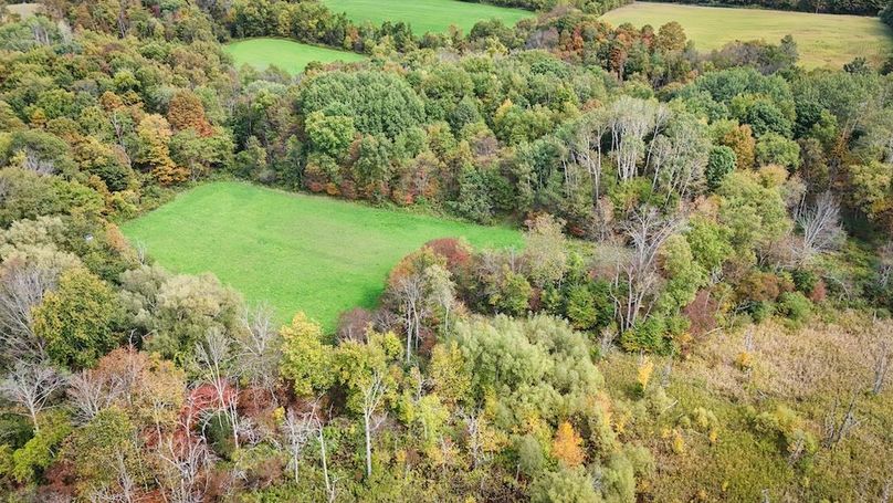 Cayuga_55.02_Herman Photo 48