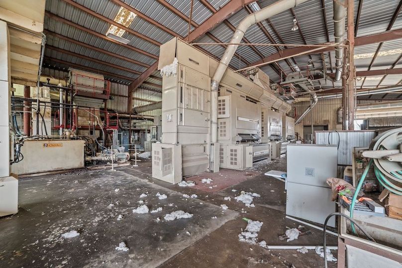 32-web-or-mls-LHV_6834