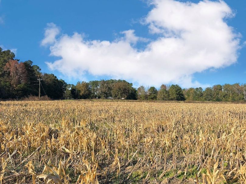 58AAB8D6-18C6-402F-9B37-2F125CAAE247