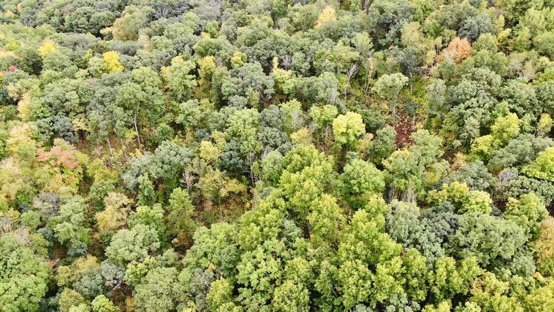 Monroe 66.23 - 17 of 46