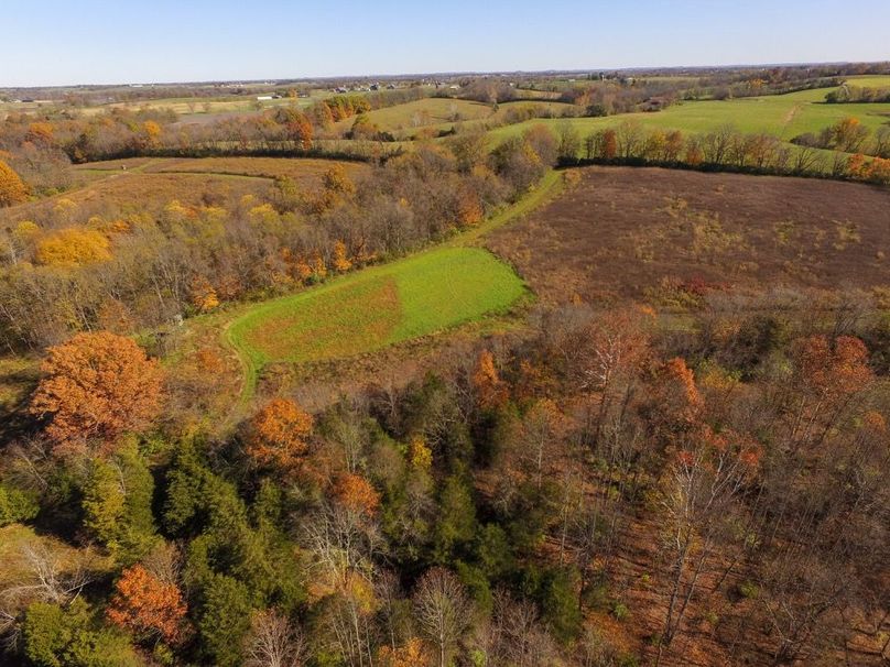 Fleming Petry 120-027