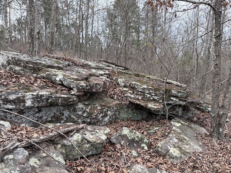 DJI_20260324_104556_596