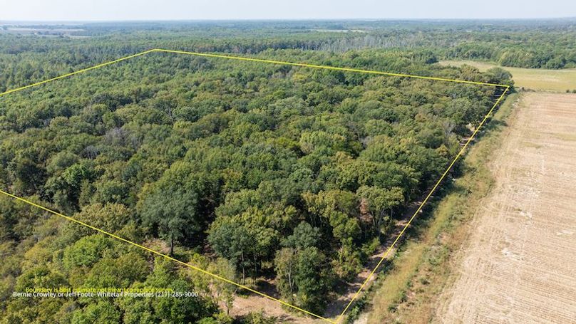 Tallahatchie 847 Messina-84