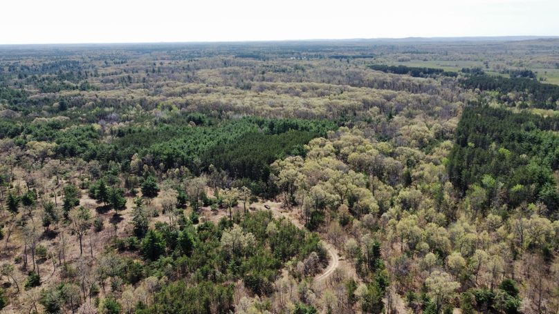 dji_fly_20230511_113842_442_1683838309568_photo_optimized