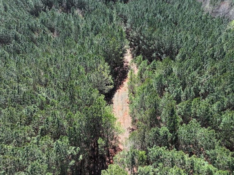 010AE - 257 Acres - Drone-15