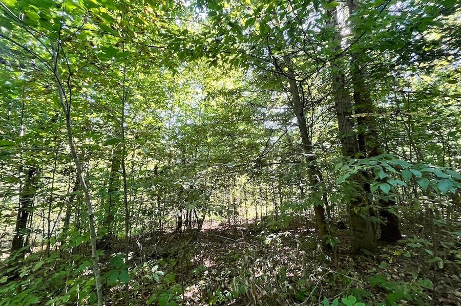 Chemung_10.725_Rouseland_Lot6_Photos_17