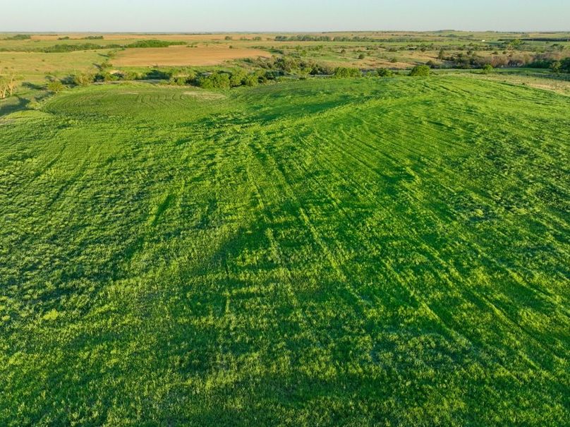 dji_fly_20250512_065418_120_1747051025514_photo