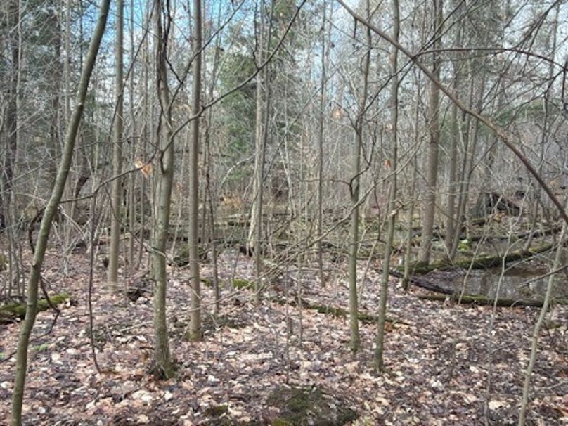 CF50F5AA-2F6C-460D-BF63-A7AA73BBF31C_4_5005_c