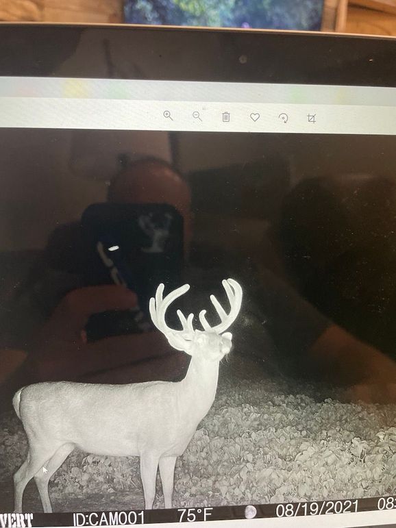 65163614113__75E1550C-EA63-4339-AD59-CB50237B4CB6