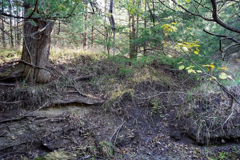 Dickinson Co, 154.5_054