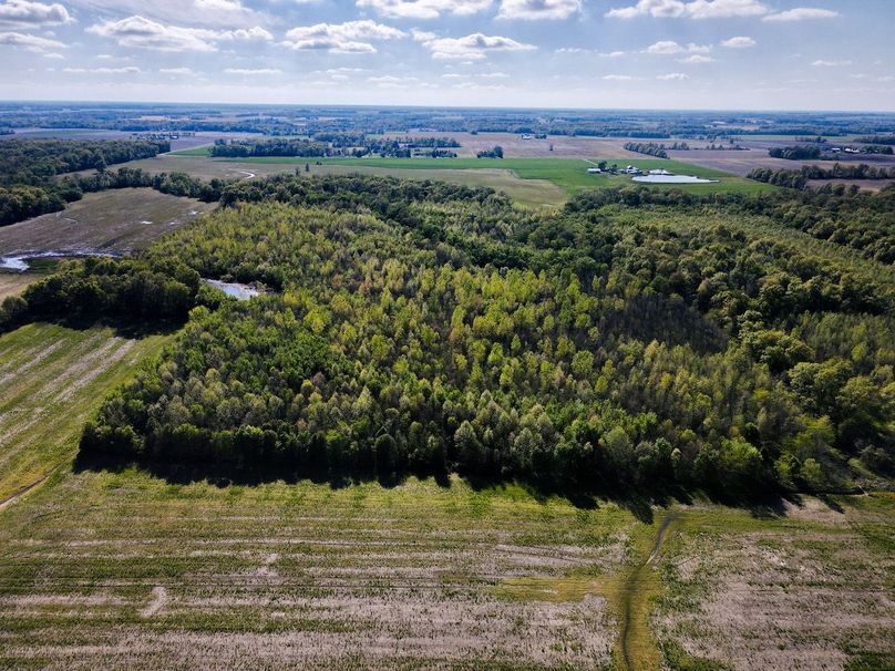 vandalia 450 (2)-3066