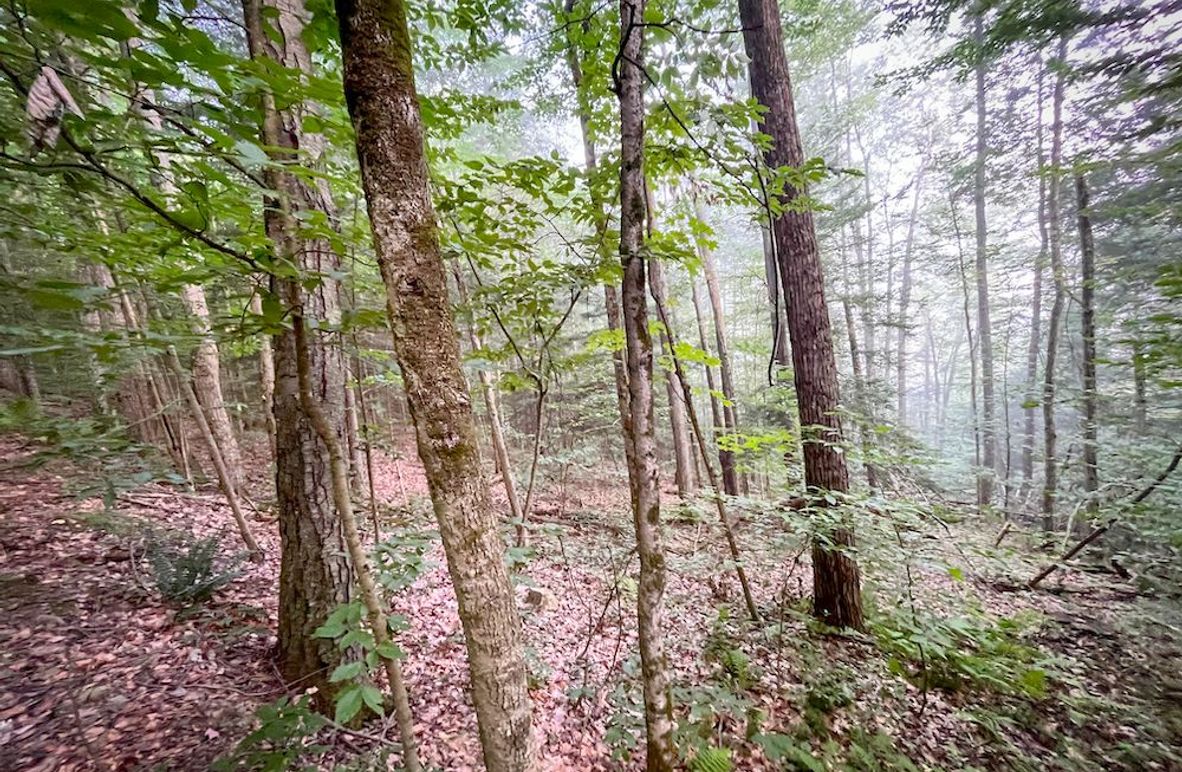 Tioga_82.5_Williams_Photos_4