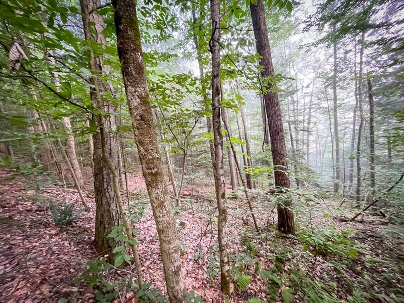 Tioga_82.5_Williams_Photos_4