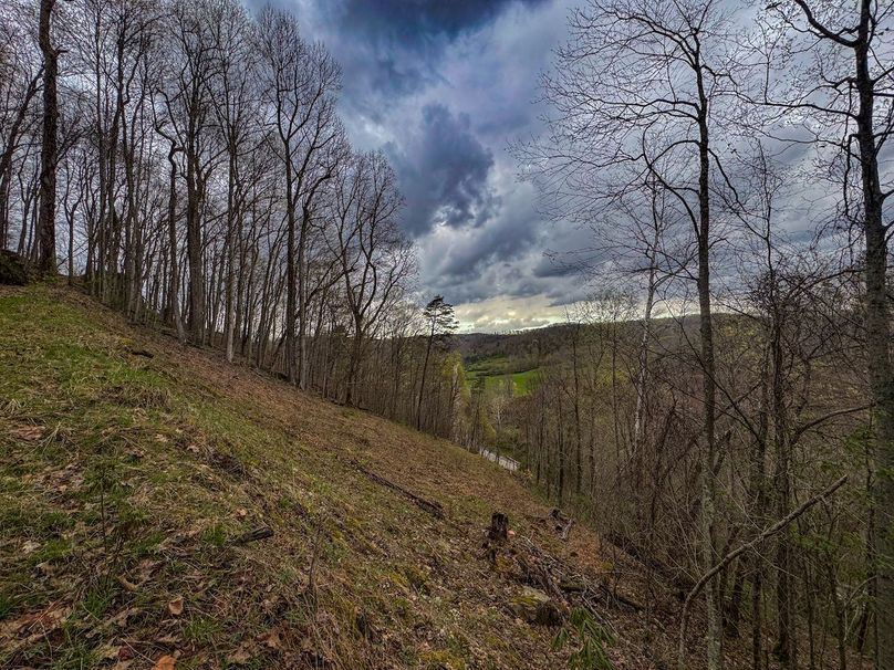 Wirt, WV 39.564 AC Full-09