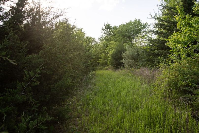 PAGE CO IA 130+_-_21