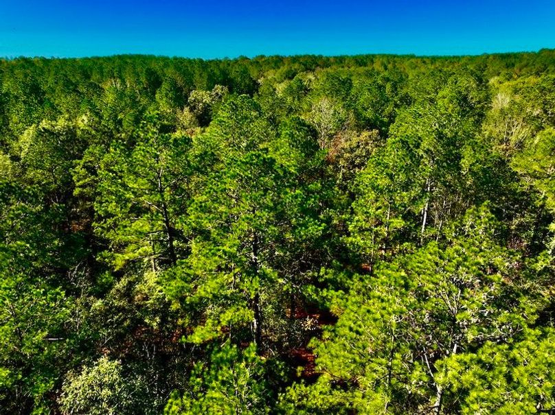 036EAFE0-ABEF-407C-9DB4-381F66EADB51_1_105_c