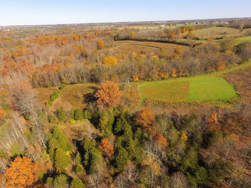 Fleming Petry 115-11