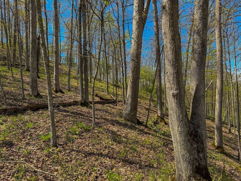 Gilmer, WV 100 AC Shilling-83