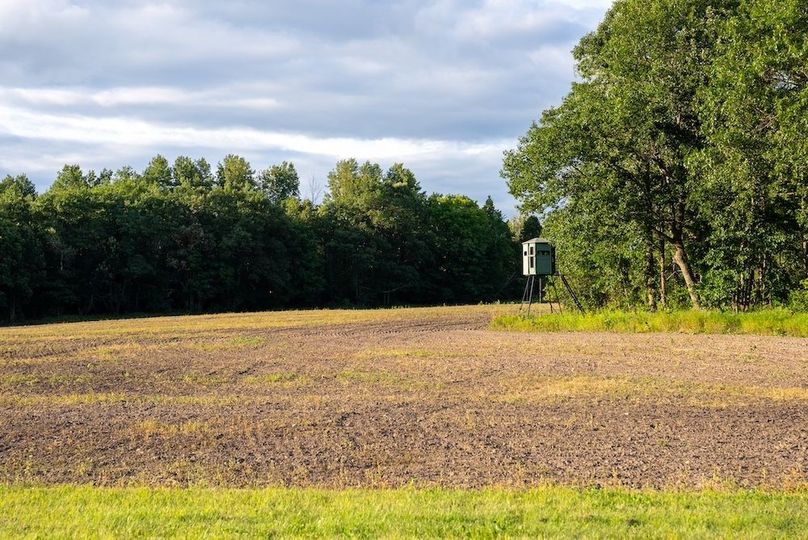 Cass MN 1095 Featured ProPhoto-6