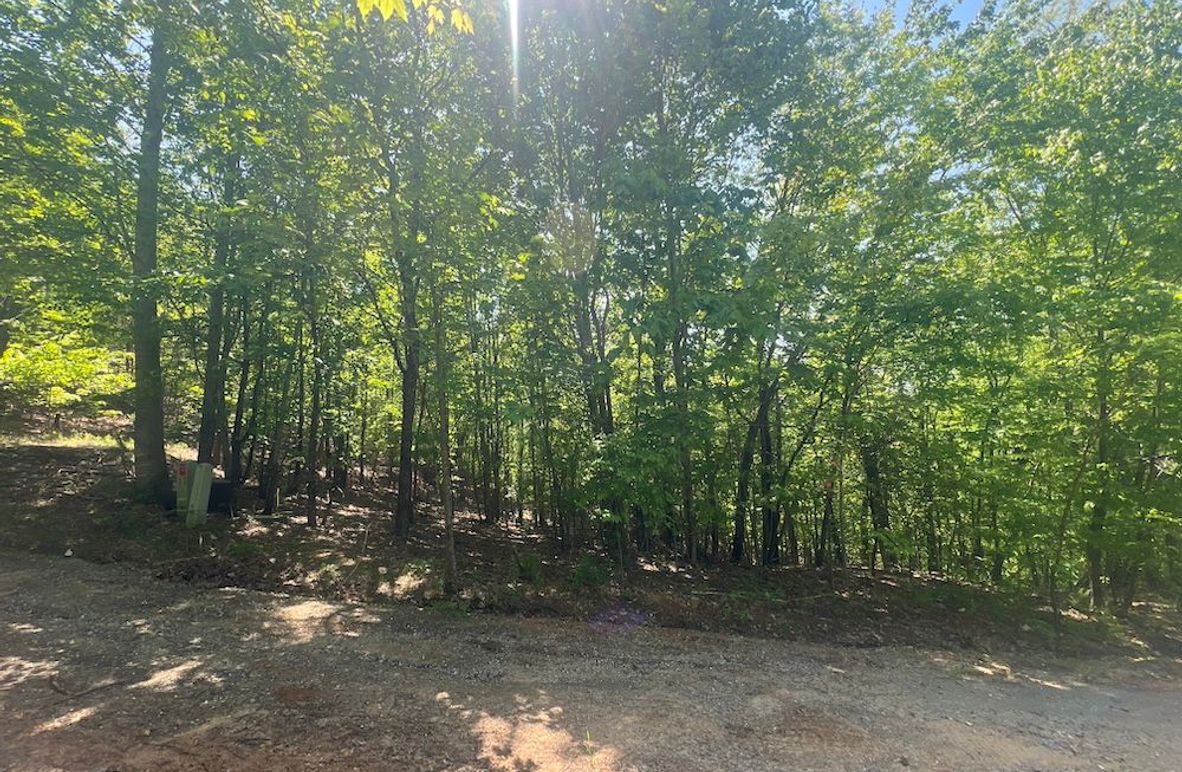 01_20 Buildable lot pic from road