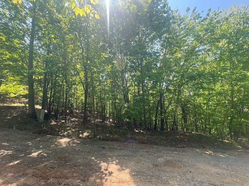 01_20 Buildable lot pic from road