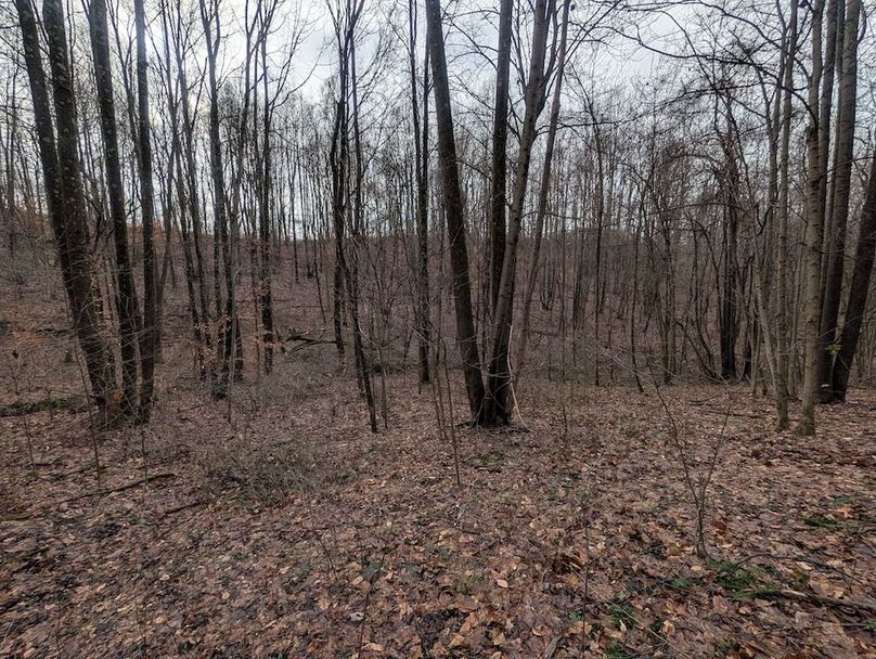 PXL_20260107_180902325