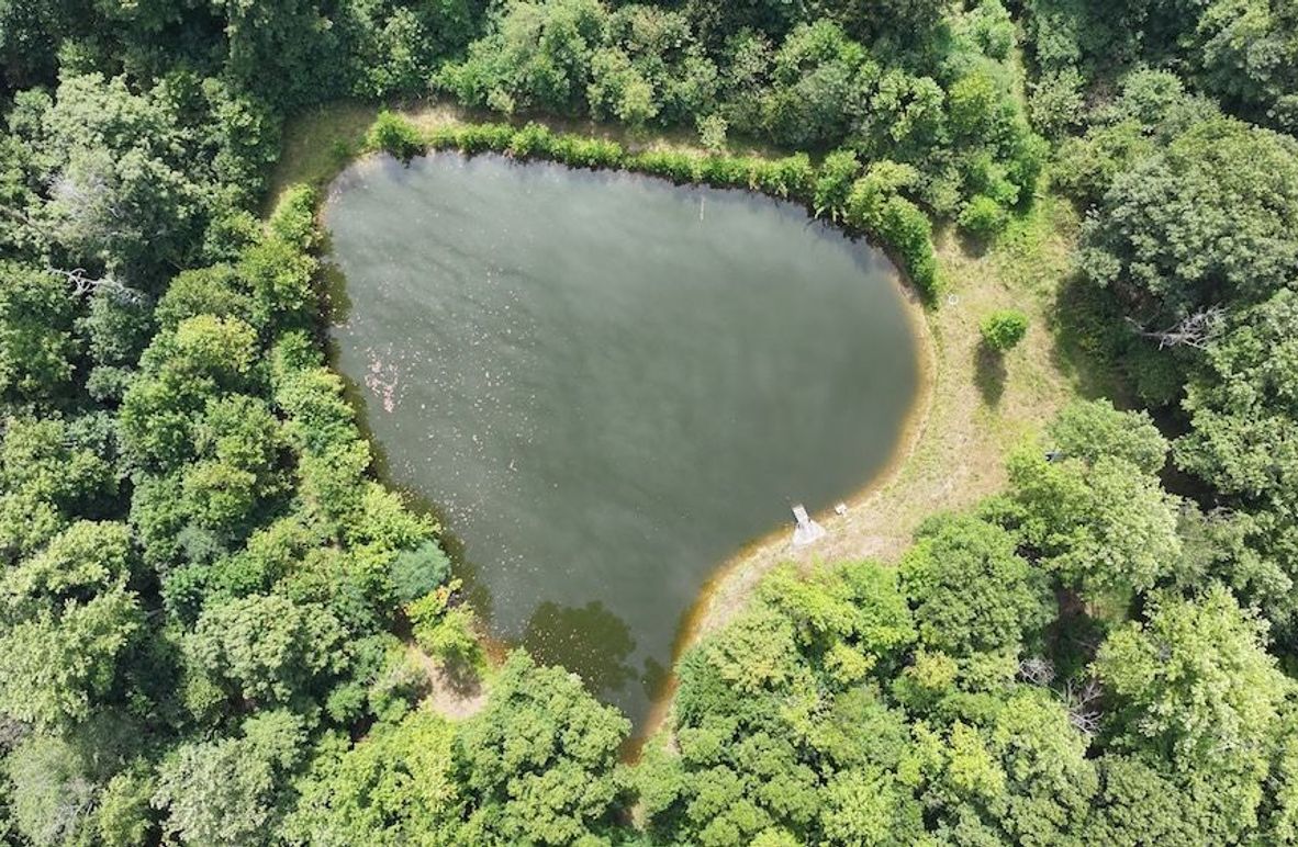 dji_fly_20240904_133028_0373_1725471194848_photo