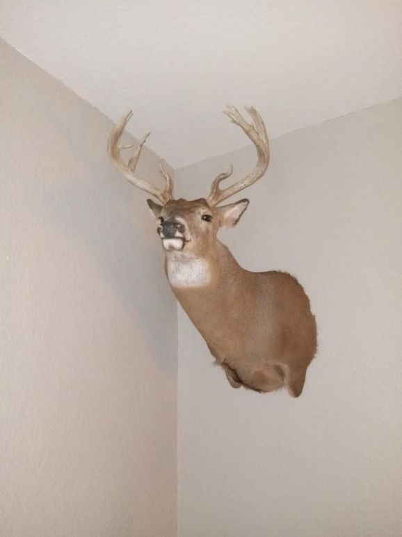 Resized_20240313_162257