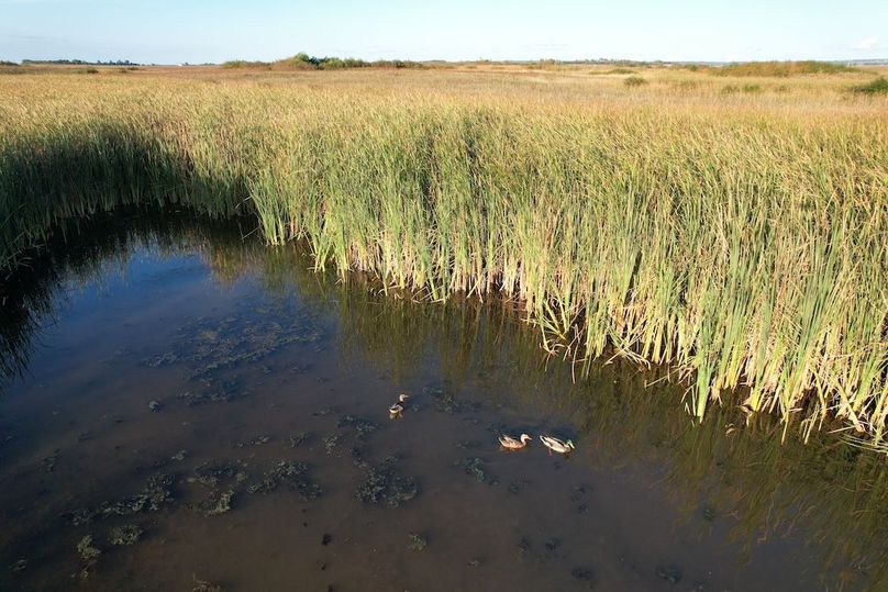 dji_fly_20250922_181102_974_1758582757604_photo