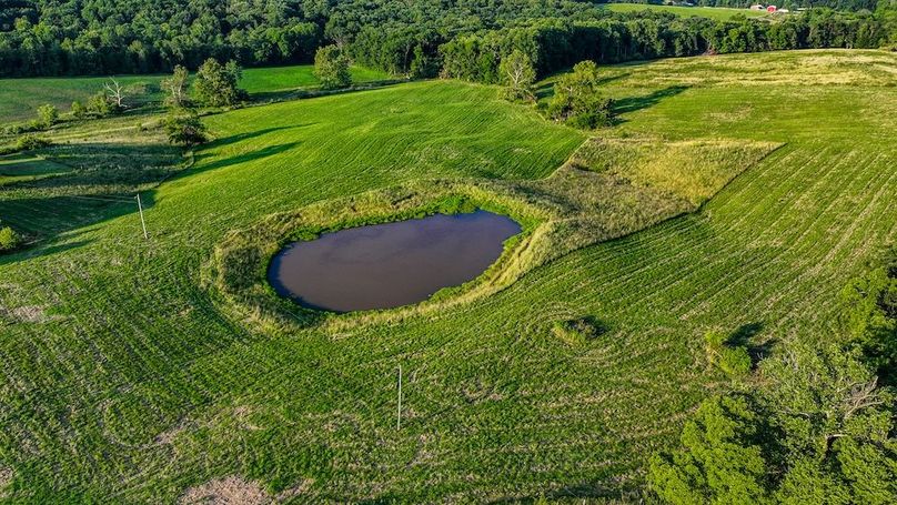 dji_fly_20250705_195530_0426_1751759910467_photo