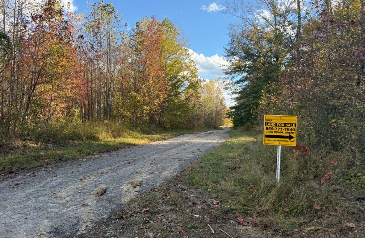 001 the road frontage near the entrance along the east boundary
