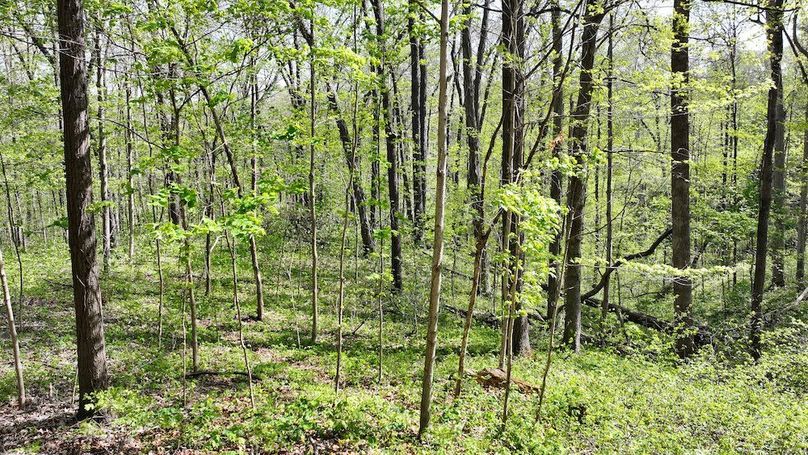 dji_fly_20260423_164240_0259_1776977089649_photo