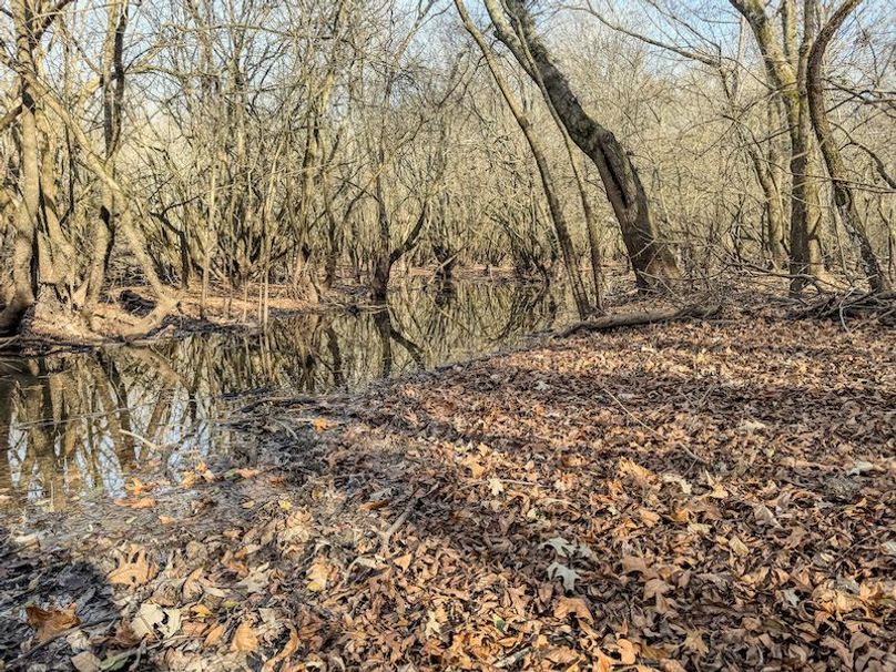 St. Francis 216.9 Calvin Parker Farms Profile -30